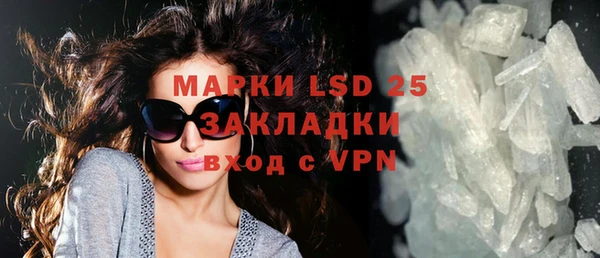 индика Ивангород