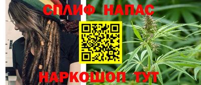 МДПВ Дубна