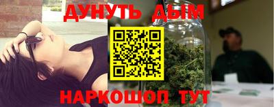 МДПВ Дубна