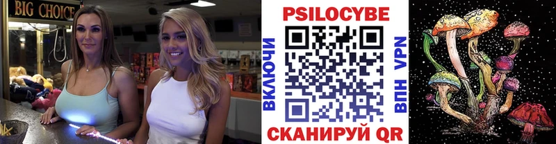 Псилоцибиновые грибы Cubensis  KRAKEN tor  Кимры 