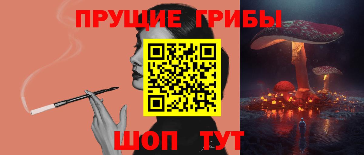Кимры  как найти закладки  Вход с VPN  Галлюциногенные грибы Psilocybe 